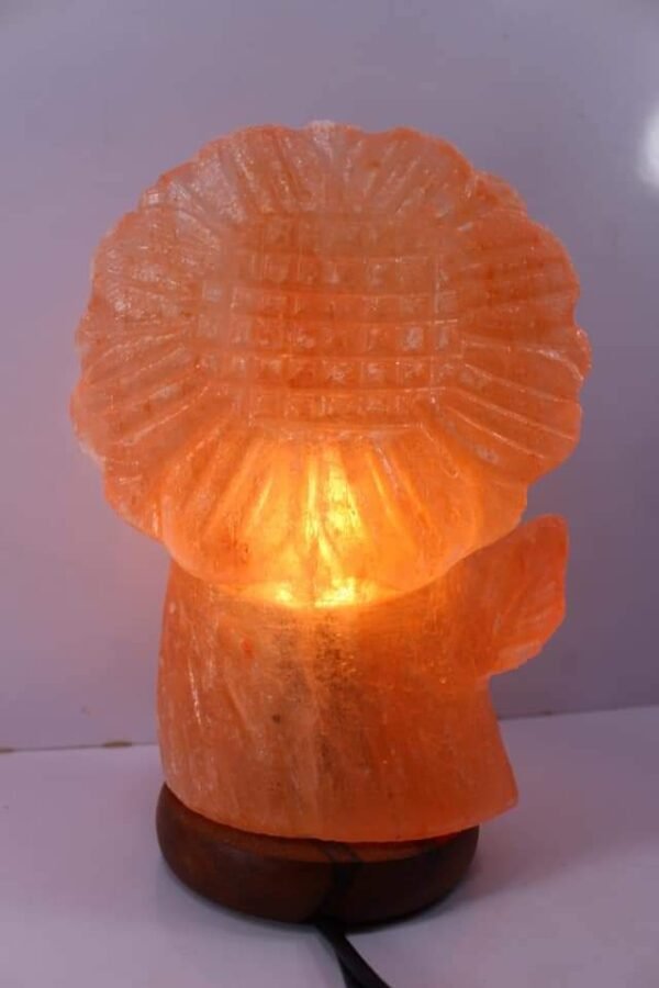 100% Natural Himalayan Salt Flower shape Lamp with wooden Base