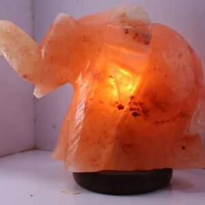 Himalayan Salt Lamp Elephant shape Design