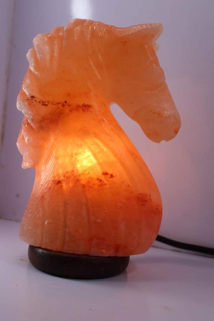 Unique Hand Carved Horse Light Lamp with Agate Stone online Rock