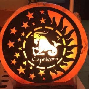 Capricornus Himalayan Pink Salt Lamp