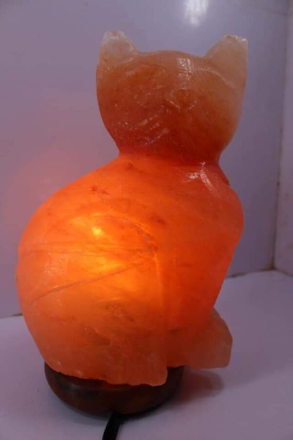 Himalayan Salt Lamp Cat Design